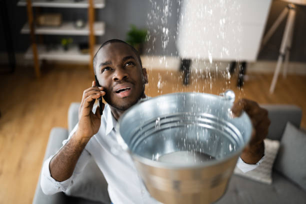 Water damage restoration experts in South Sarasota, FL