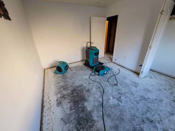 Best Basement water damage restoration  in South Sarasota, FL