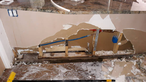 Best Residential water damage restoration  in South Sarasota, FL