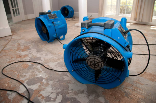 Best Emergency water extraction  in South Sarasota, FL