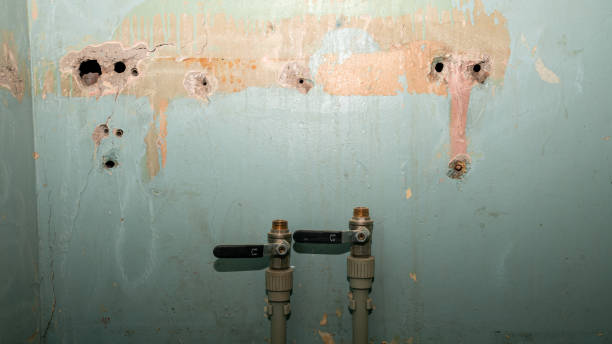 Professional Water damage restoration in South Sarasota, FL