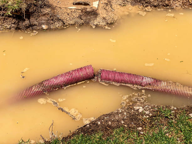 Sewage cleanup and water damage restoration in South Sarasota, FL