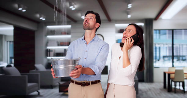 Best Flooded house restoration  in South Sarasota, FL