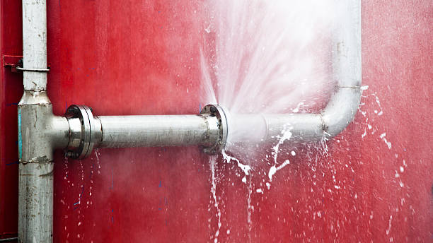 Best Water damage restoration near me  in South Sarasota, FL